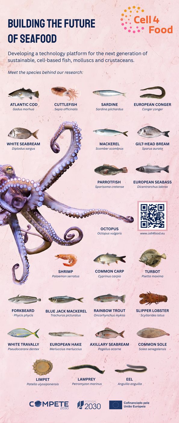 Cell4Food Banner Building the Future of Seafood