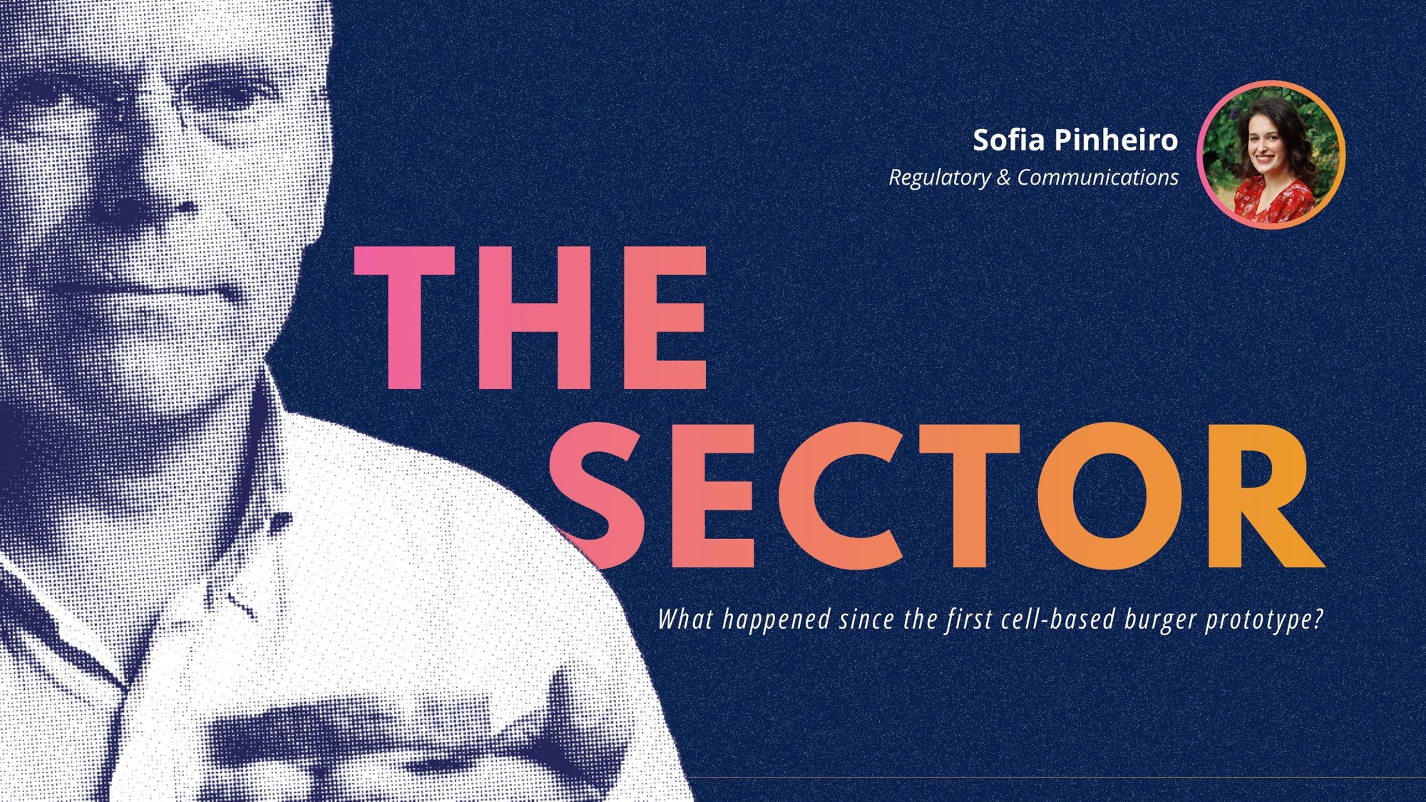 The Sector slide 1