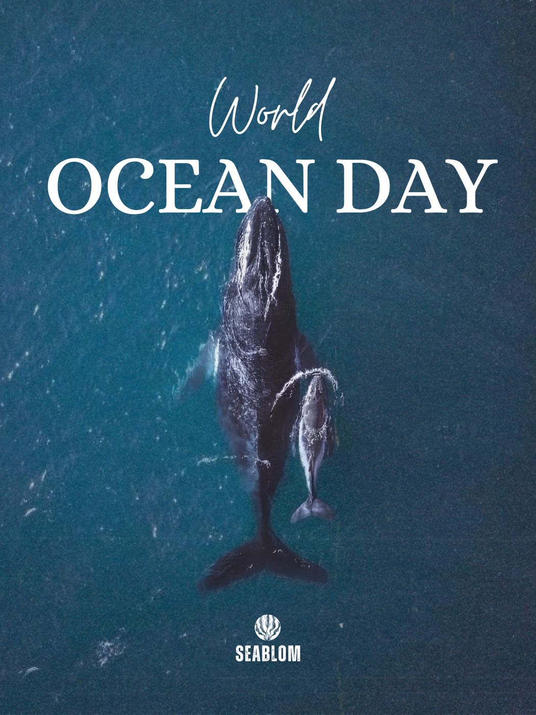 World Ocean Day